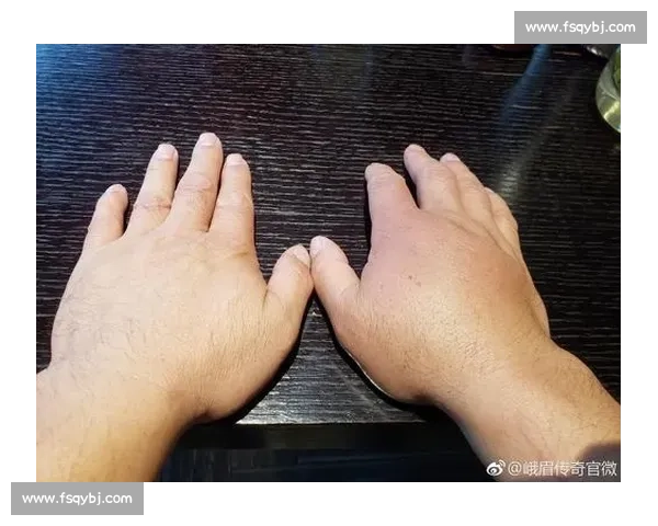 雷雷vs王知亮擂台之争引发格斗理念与实战价值大讨论风波背后思考